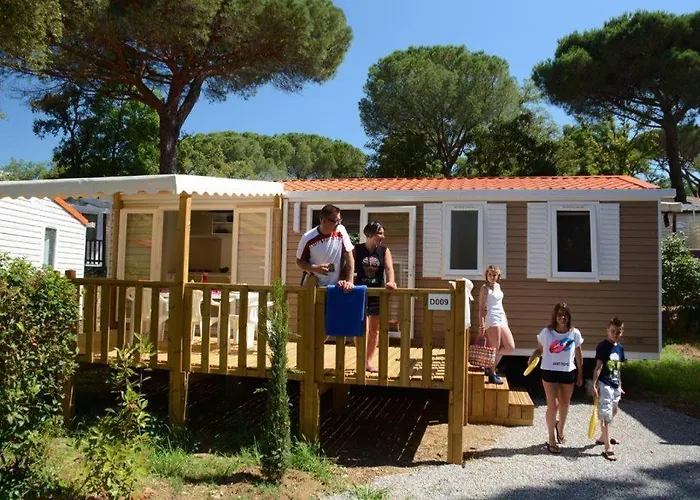Кемпинг Parc St Parc Montana 4*